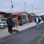 2013 Suche 29062013 Olivera